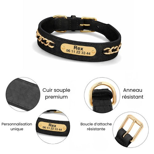Collier pour chien AventureCanine en cuir noir avec plaque d'identification gravée et détails en chaîne dorée