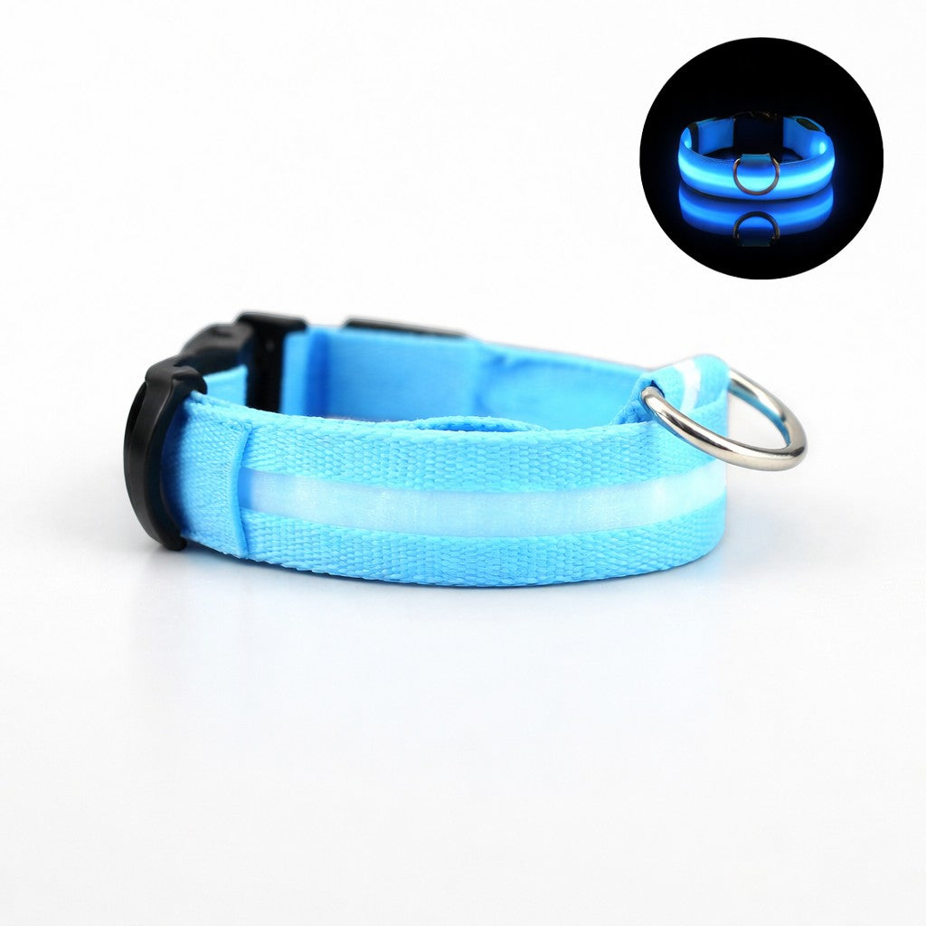 Collier lumineux bleu AventureCanine en nylon avec LED intégrée pour la sécurité nocturne du chien