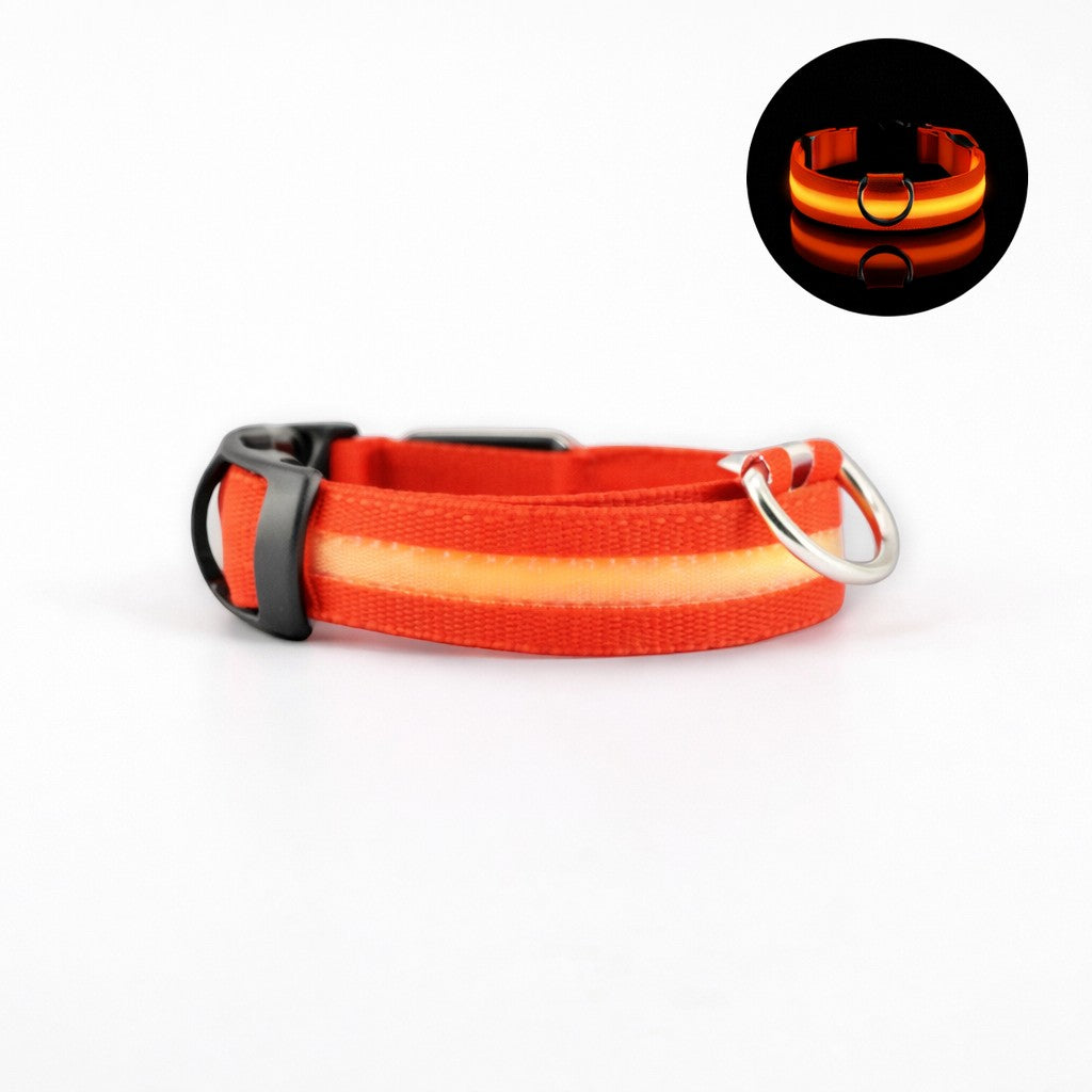 Collier lumineux AventureCanine orange en nylon avec LED intégrée pour la sécurité nocturne du chien