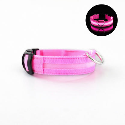 Collier lumineux AventureCanine rose en nylon avec LED intégrée pour la sécurité nocturne des chiens