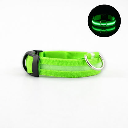 Collier lumineux AventureCanine vert en nylon avec bande LED pour la sécurité nocturne du chien