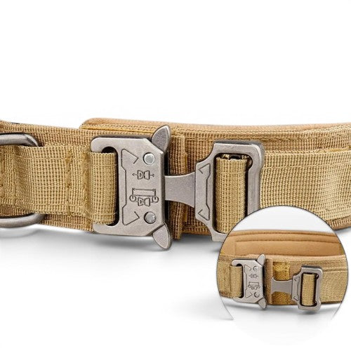 Collier tactique pour chien AventureCanine en polyester beige avec boucle métallique robuste et ajustable