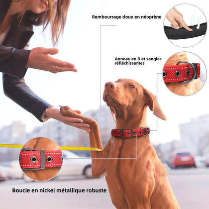 Collier tactique AventureCanine rouge en nylon avec rembourrage, bandes réfléchissantes et boucle en métal robuste