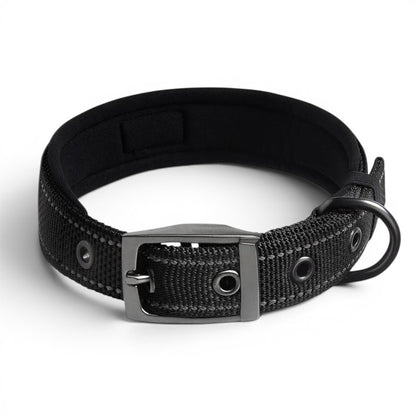 Collier tactique pour chien - Boucle simple