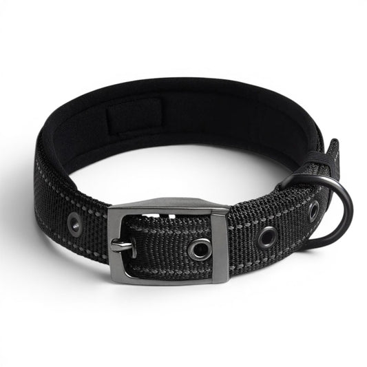 Collier tactique pour chien - Boucle simple