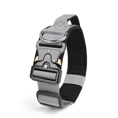 Collier tactique AventureCanine gris en nylon robuste avec boucle métallique à ouverture rapide et anneau en D