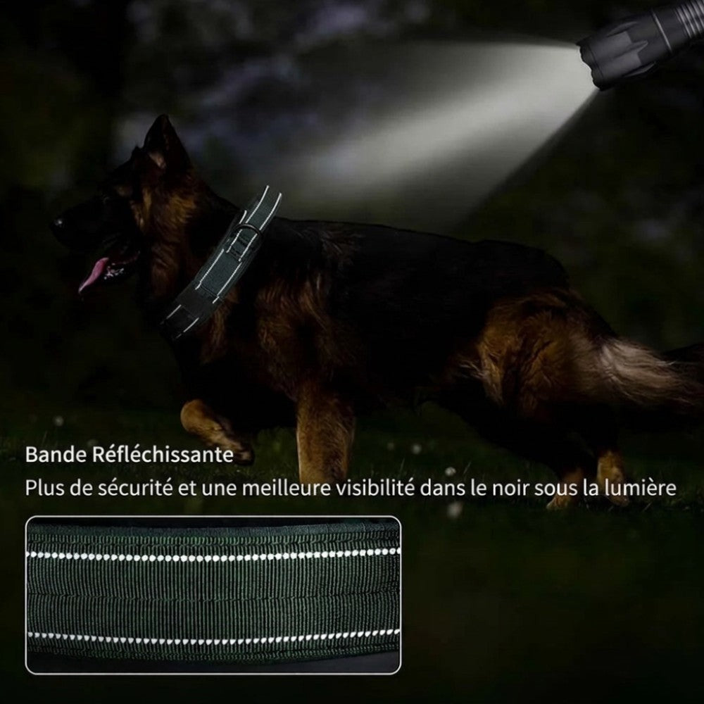 Collier tactique AventureCanine en nylon vert avec bandes réfléchissantes porté par un berger allemand la nuit
