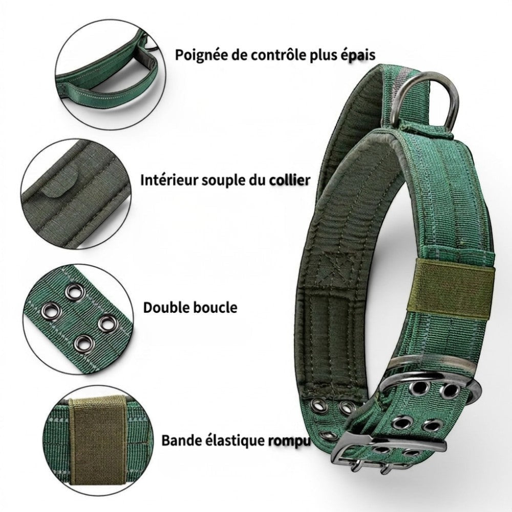 Collier tactique AventureCanine en nylon vert avec poignée, double boucle, rembourrage et bandes réfléchissantes