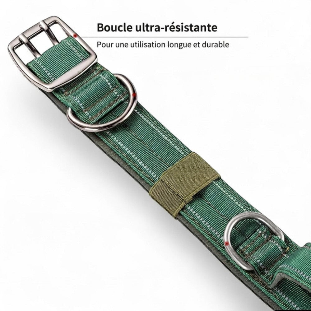 Collier tactique AventureCanine en nylon vert avec double boucle métallique robuste et zone auto-agrippante
