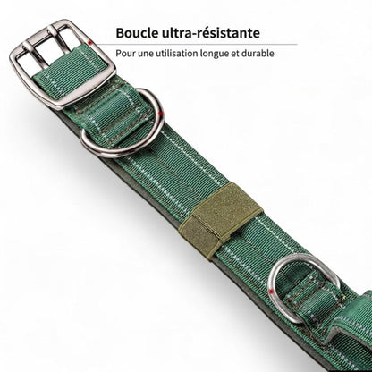 Collier tactique AventureCanine en nylon vert avec double boucle métallique robuste et zone auto-agrippante