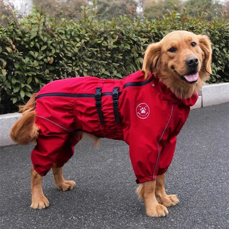 Golden Retriever portant une combinaison imperméable rouge AventureCanine avec bandes réfléchissantes et fermetures