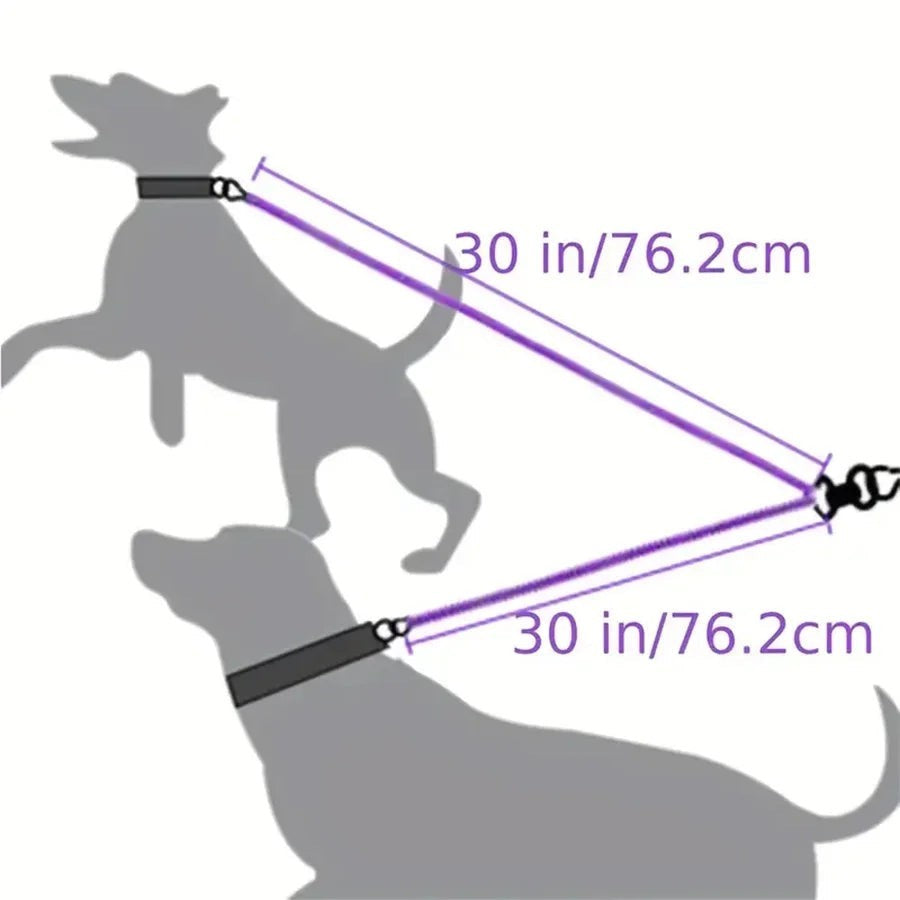 Coupleur de laisse AventureCanine pour deux chiens avec corde tressée violette et système pivotant anti-nœud