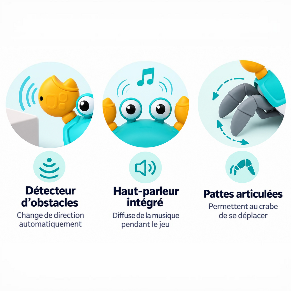 Infographie AventureCanine montrant les fonctions du crabe interactif : détecteur d'obstacles, musique et pattes