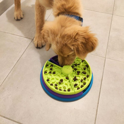 Chien Golden Retriever utilisant la gamelle puzzle AventureCanine SmartBowl verte et violette pour manger lentement