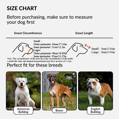 Guide des tailles AventureCanine pour muselière panier en acier inoxydable avec exemples de races de chiens