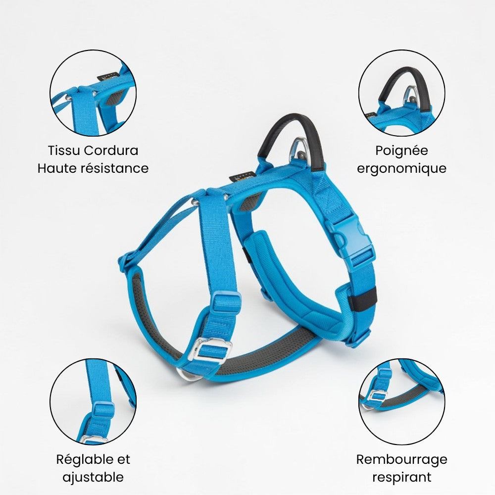 Harnais anti-traction AventureCanine en Y bleu en nylon Cordura avec poignée dorsale, rembourrage et détails techniques