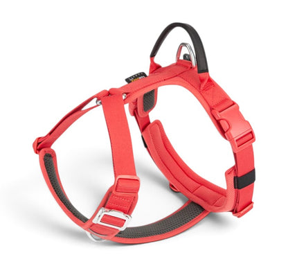 Harnais anti-traction en Y AventureCanine rouge en nylon Cordura avec poignée dorsale et rembourrage confortable