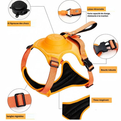 Harnais AventureCanine orange avec laisse rétractable intégrée, sangles réglables et tissu respirant pour chien