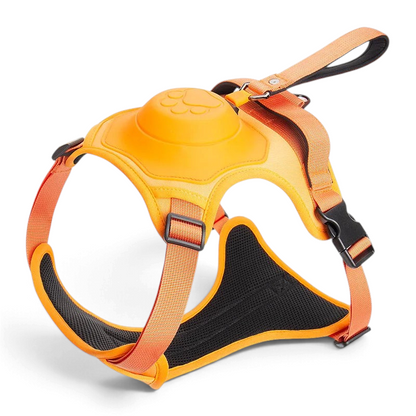 Harnais AventureCanine orange avec laisse rétractable intégrée et doublure noire respirante pour chien