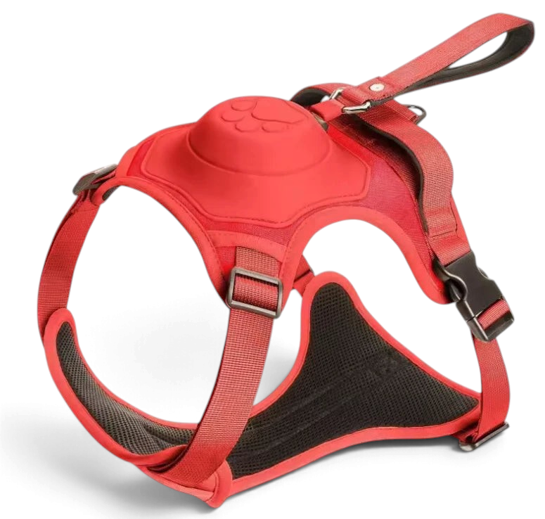 Harnais rouge AventureCanine avec laisse rétractable intégrée et doublure respirante pour chien