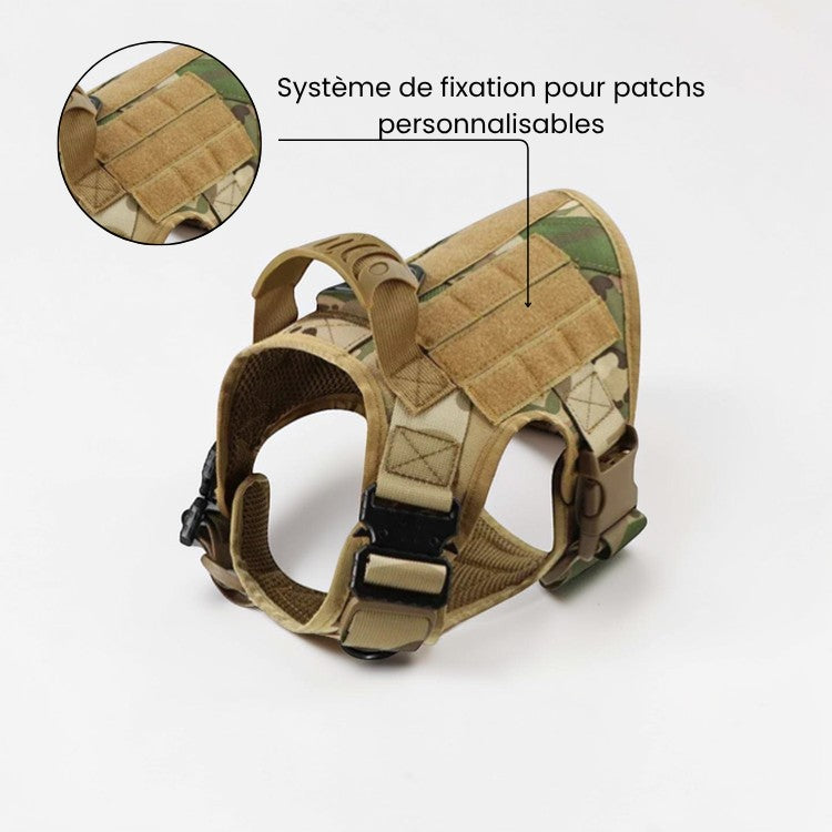 Harnais tactique AventureCanine camouflage pour grand chien avec poignée de contrôle et système MOLLE