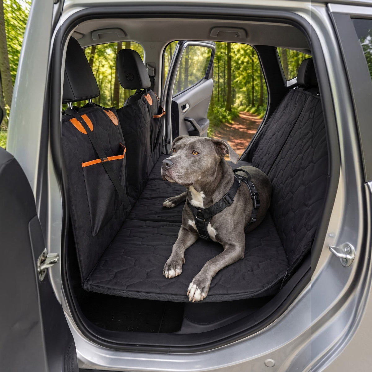 Housse de voiture AventureCanine noire imperméable avec fond rigide pour chien installée sur la banquette arrière