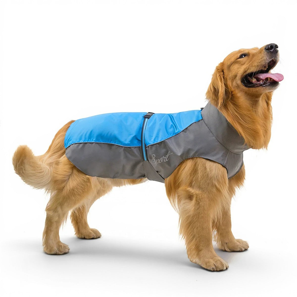 Imperméable AventureCanine bleu et gris pour chien en polyester avec bandes réfléchissantes sur fond blanc