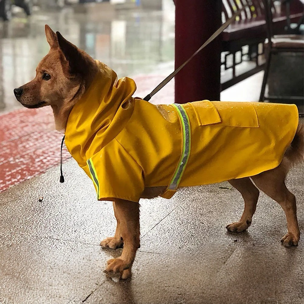 Chien portant un imperméable jaune AventureCanine avec capuche et bandes réfléchissantes sous la pluie