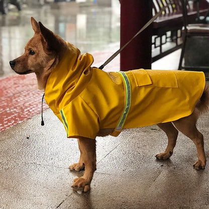 Chien portant un imperméable jaune AventureCanine avec capuche et bandes réfléchissantes sous la pluie