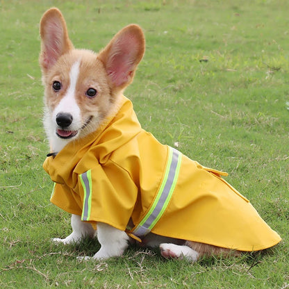 Chien corgi portant un imperméable jaune AventureCanine avec capuche et bandes réfléchissantes sur une pelouse