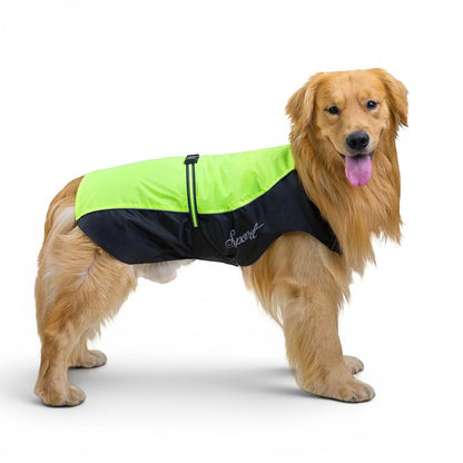 Chien golden retriever portant un imperméable AventureCanine jaune fluo et noir avec bandes réfléchissantes