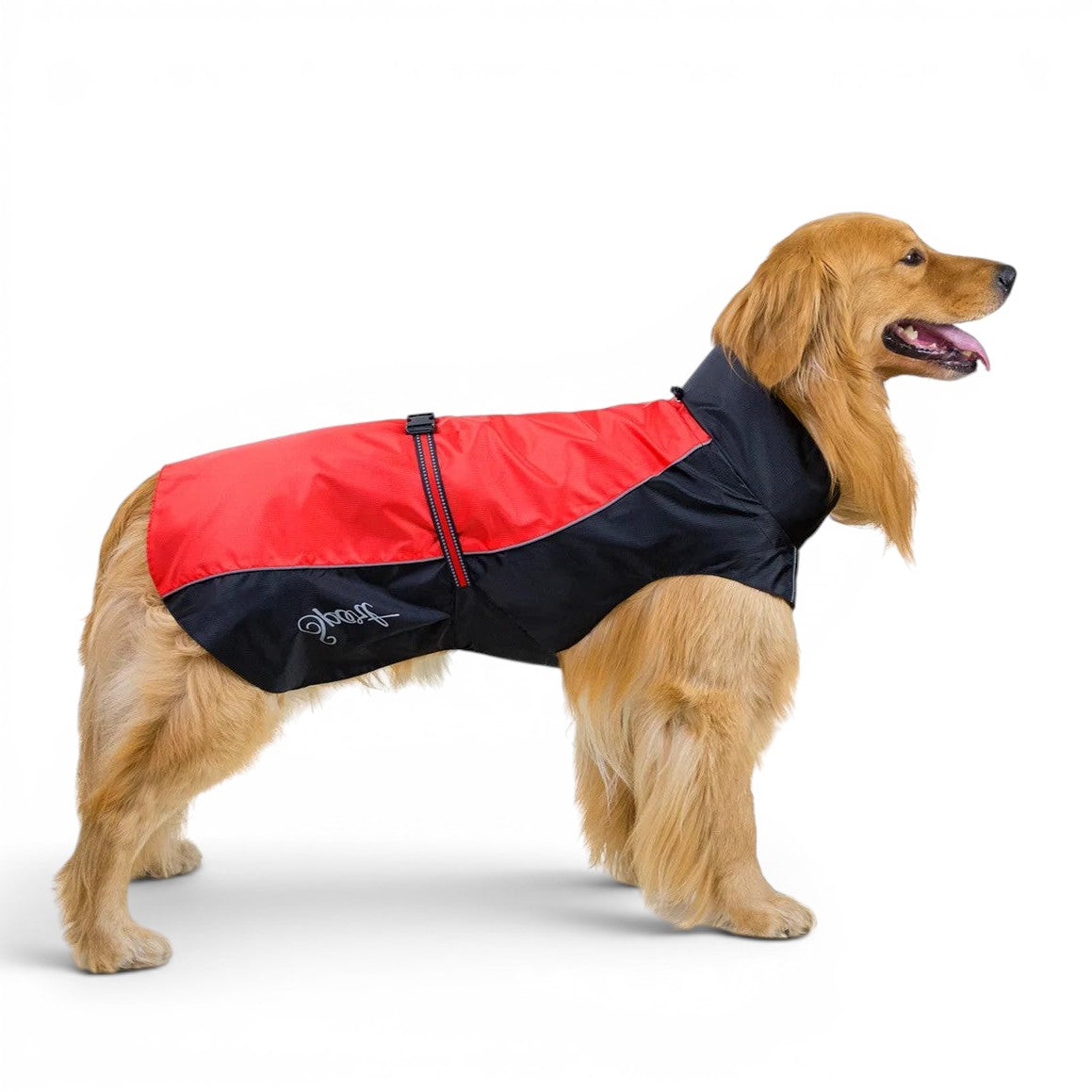 Imperméable AventureCanine rouge et noir pour chien en polyester avec bandes réfléchissantes sur un golden retriever