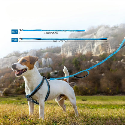 Laisse amortissante bleue AventureCanine en nylon avec poignées rembourrées pour chien en extérieur