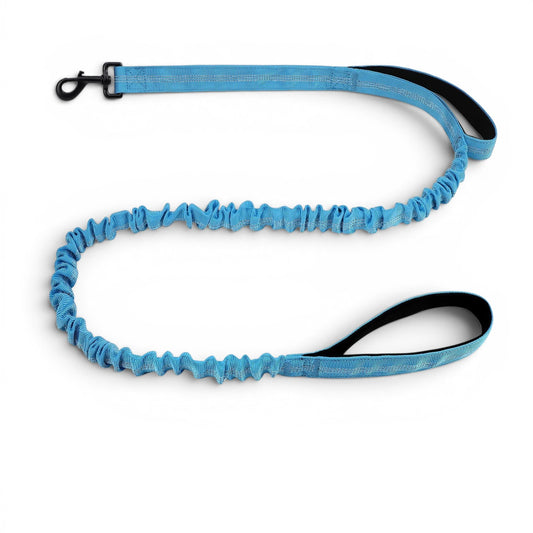 Laisse amortissante AventureCanine bleue en nylon avec système élastique et deux poignées rembourrées pour chien