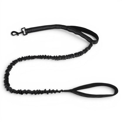 Laisse amortissante noire AventureCanine en nylon avec sangle élastique, deux poignées rembourrées et mousqueton robuste