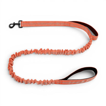 Laisse amortissante AventureCanine orange en nylon avec sangle élastique et deux poignées rembourrées pour chien