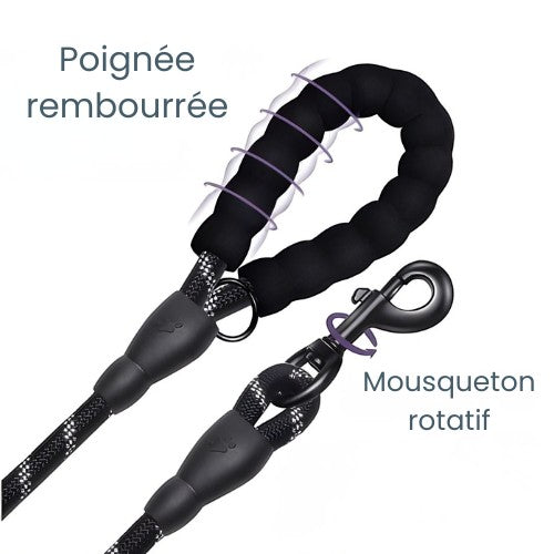 Laisse pour petit chien AventureCanine en corde tressée noire avec poignée rembourrée ergonomique et mousqueton rotatif