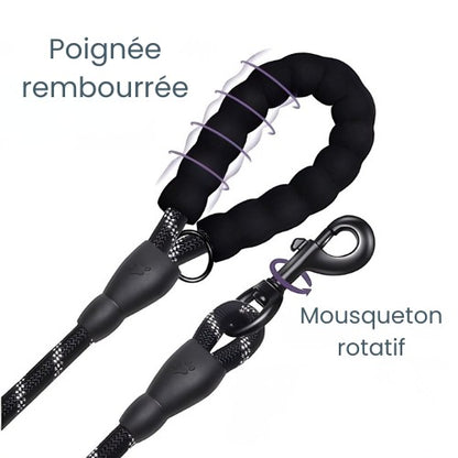 Laisse pour petit chien AventureCanine en corde tressée noire avec poignée rembourrée ergonomique et mousqueton rotatif