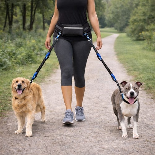 AventureCanine laisse chien main libre double avec ceinture réglable pour promener deux chiens en extérieur