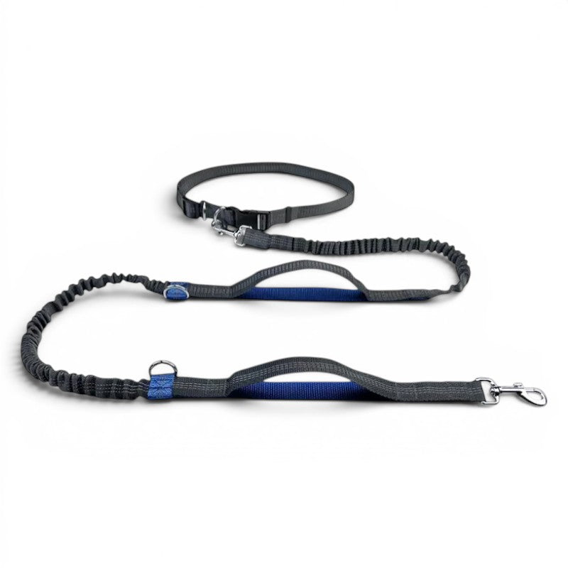 Laisse main libre AventureCanine Free Walk grise et bleue avec ceinture réglable et longe élastique absorbante