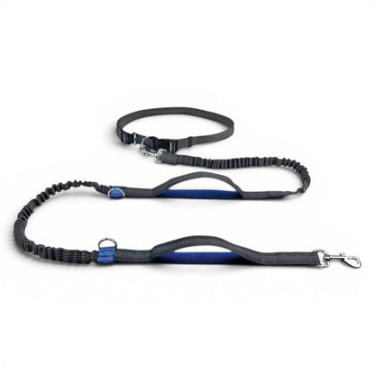 Laisse main libre AventureCanine Free Walk grise et bleue avec ceinture réglable et longe élastique absorbante