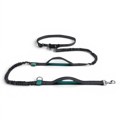 Laisse main libre AventureCanine Free Walk grise et verte avec ceinture réglable et longe élastique absorbante