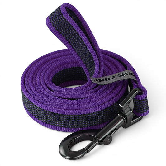 Laisse pour chien AventureCanine en nylon violet et noir renforcé avec poignée rembourrée et mousqueton robuste