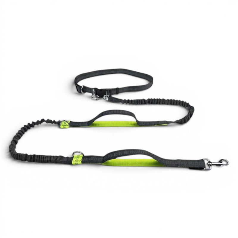 Laisse main libre AventureCanine noire et jaune avec longe élastique réglable et ceinture pour chien