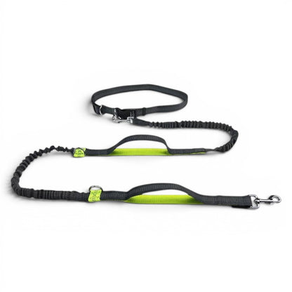 Laisse main libre AventureCanine noire et jaune avec longe élastique réglable et ceinture pour chien