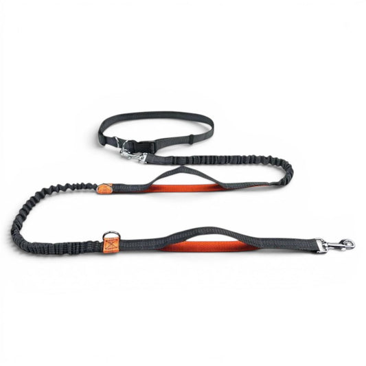 Laisse main libre AventureCanine grise et orange avec longe élastique extensible et ceinture réglable pour chien