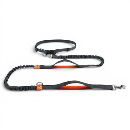 Laisse main libre AventureCanine grise avec longe élastique, ceinture réglable et poignées rembourrées orange