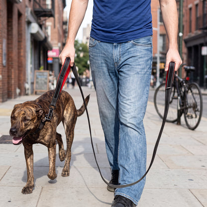 Laisse AventureCanine en nylon noir avec double poignée et bandes réfléchissantes pour chien lors d'une promenade urbaine