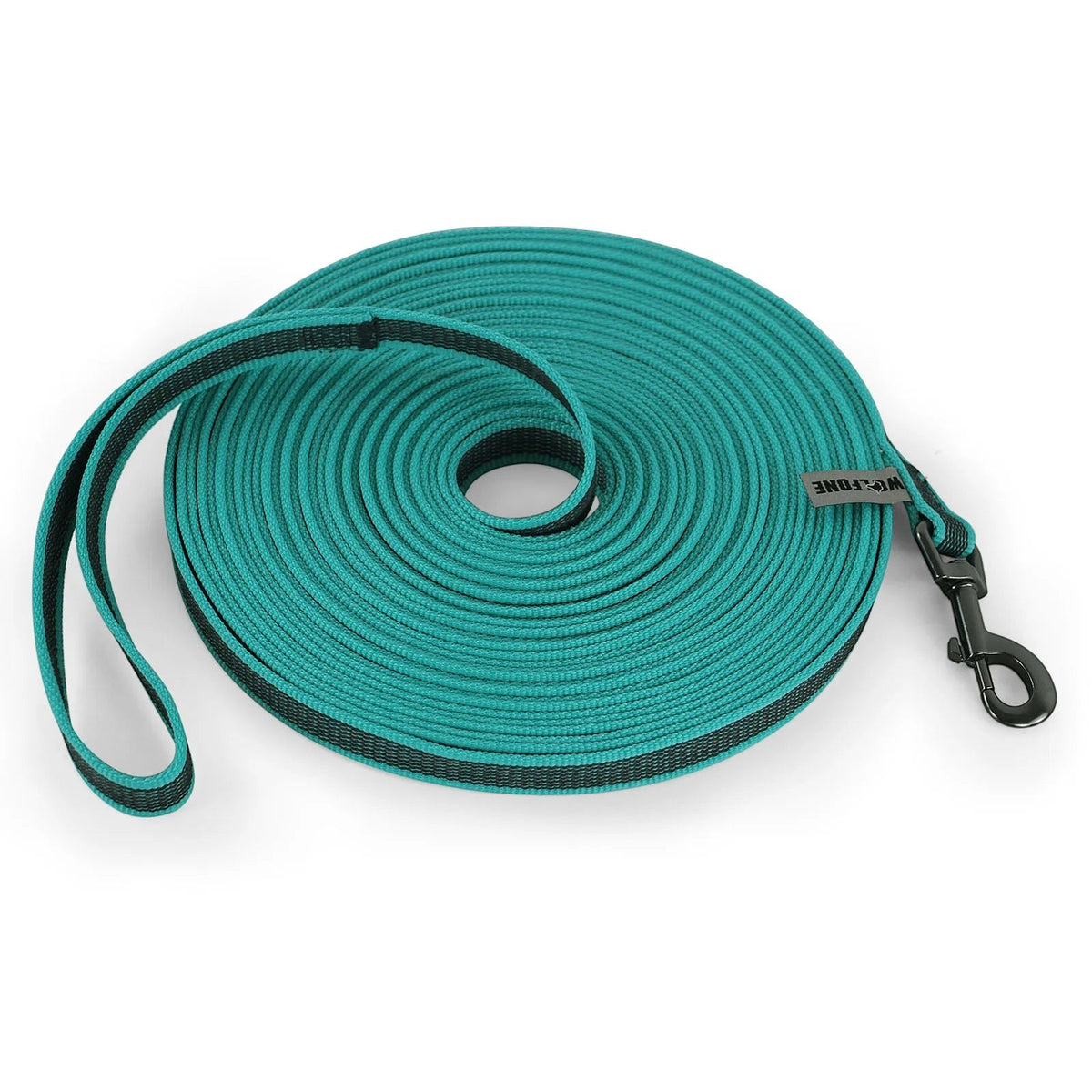 Longe renforcée AventureCanine turquoise en nylon et fibre pour chien, enroulée avec mousqueton noir