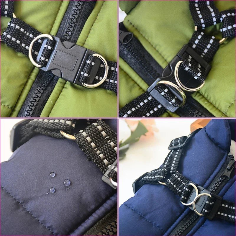 Manteau d'hiver AventureCanine pour chien avec harnais intégré, tissu déperlant vert et bleu, détails réfléchissants